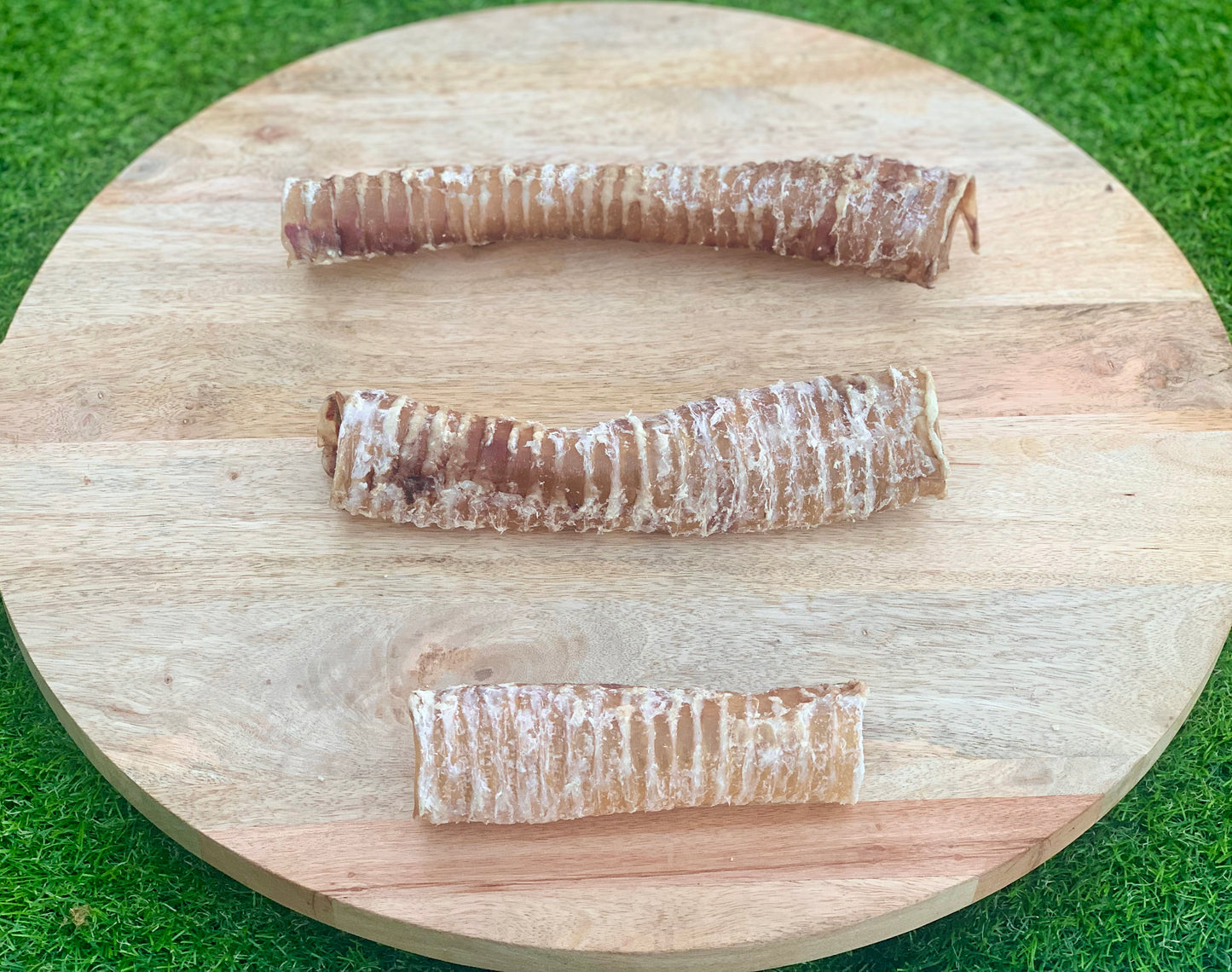 Natural Beef Trachea Moo Chews - New Giant Size