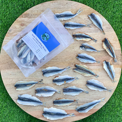 Butterflied Sardines Training Treats