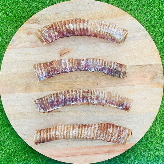 Natural Beef Trachea Moo Chews - New Giant Size