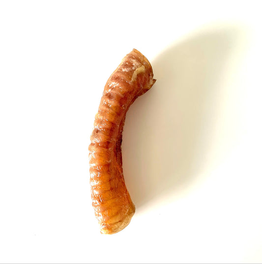 Natural Beef Trachea Moo Chews - New Giant Size