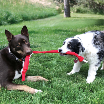 Kong Signature Double Crunch Rope Tug & Fetch Toy - Medium