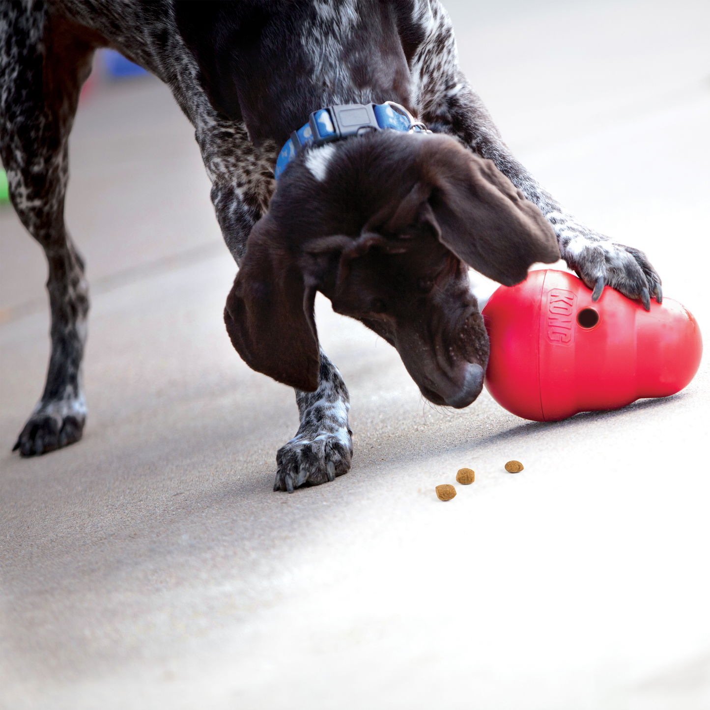 Kong Wobbler Dog Treat & Food Dispensing Toy