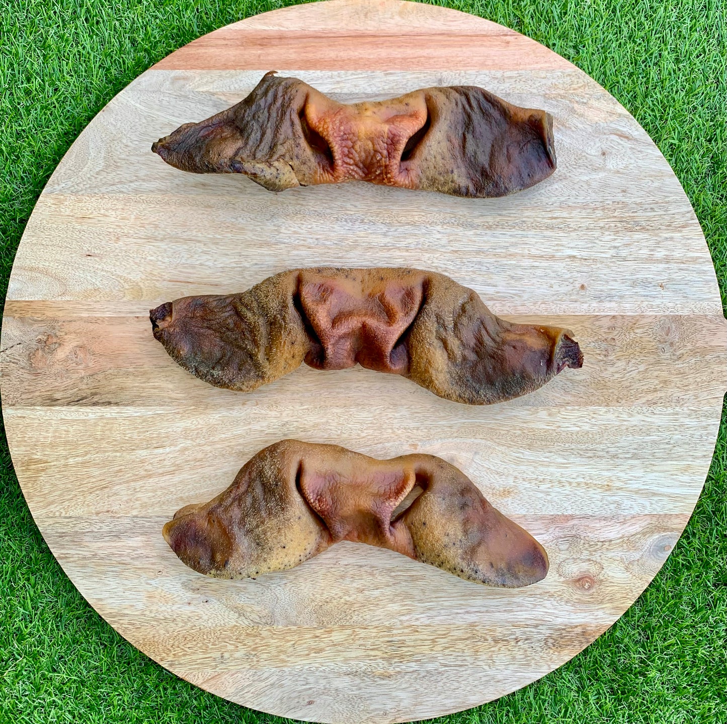 Full-Sized Long Lasting Beef Snouts