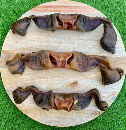 Full-Sized Long Lasting Beef Snouts