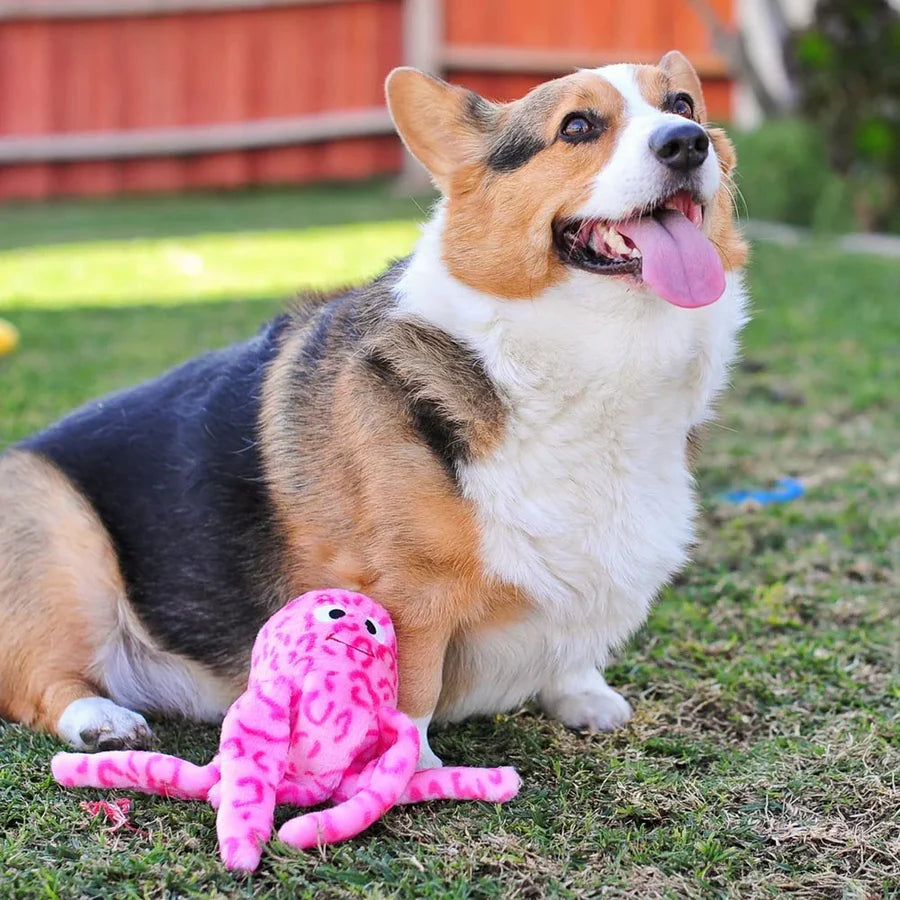 ZippyPaws Floppy Jelly Plush Octopus Squeaker Toy