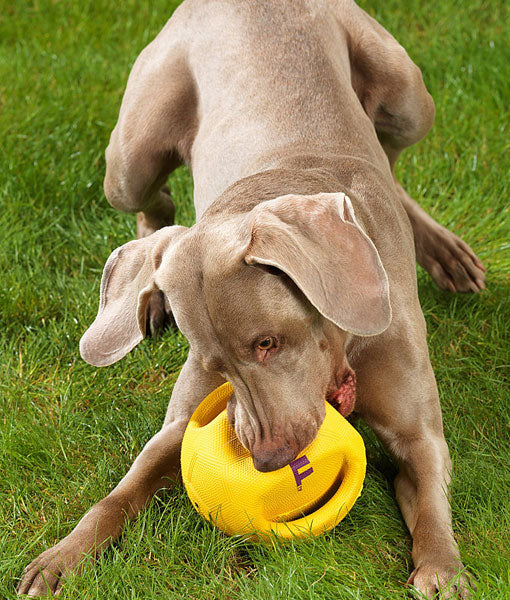 Interball Swing Rubber Ball Dog Toy Large