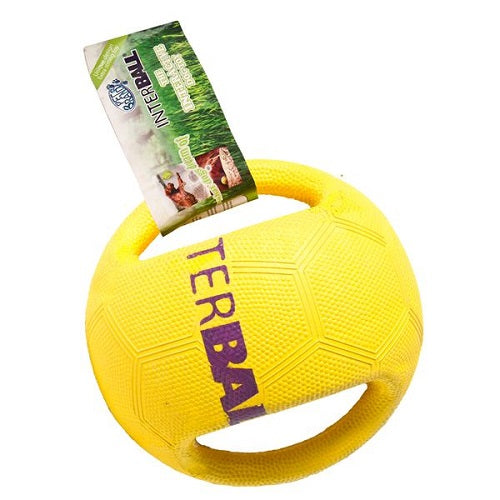 Interball Swing Rubber Ball Dog Toy Large