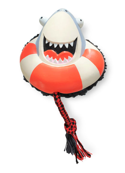 Max & Molly Squeaker Snuggles Dog Toy - Frenzy the Shark