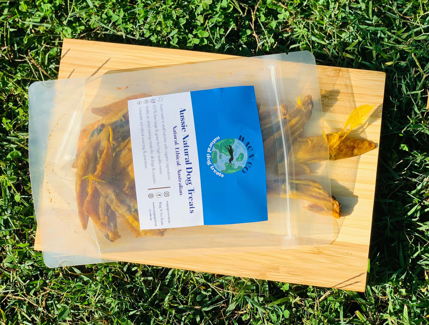 organic turmeric dog treats