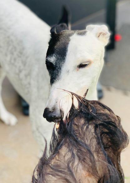 hairy cow ears